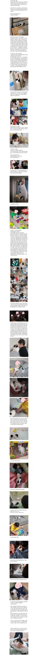 자폐 아들과 마법 고양이.jpg