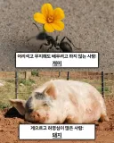 불교 세계관 “죄를 지으면 다음 생으로 태어나는 동물”.jpg
