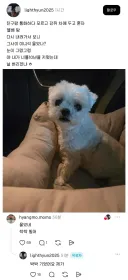 친구랑 통화하다 강쥐 차에두고옴