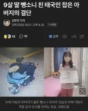 보배형들 덕에 딸 뺑소니 친 태국인 잡은 아부지