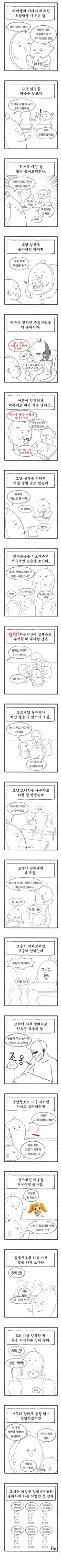 초등학교 교사의 정치술.jpg
