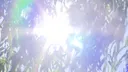 [속보] 서울 현재 29.8도 10월 중순 낮 최고 기온 연일 경신