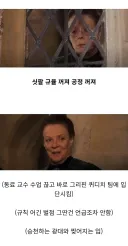해리포터) 요즘 의외로 이미지 왜곡 심하다는 캐릭