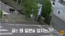 곰들한테 습격 받고 있다는 일본 지역들 상황 .jpg