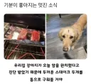기분이 좋아지는 멋진 소식.