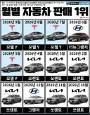 최근 1년 월별 자동차 판매 1위