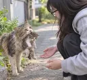 어미 고양이 : 우리 아이좀 키워줄래요?