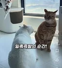 갑자기 주인공이 바뀜