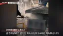 반년 전, 사업장 내 기준치 초과 납이 검출된 공장