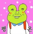 물어보살 월 3000 번다는 억울한 46살 싱글녀