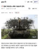 처음엔 비웃음 샀지만 의외로 효용성 좋다는 닭장 전차.png