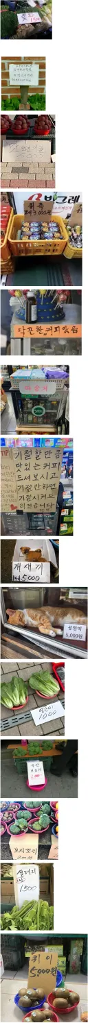 잊을만 하면 보이는 한국 시장 사진들