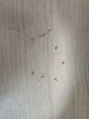 씨1발