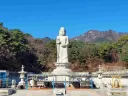 충격적인 사찰 축제 근황 ㄷㄷ