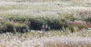 가을 잊은 30도 늦더위…13일 비 온 뒤 기온 '뚝'