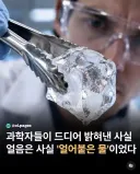 마침내 밝혀진 사실