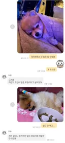 유치원에서 안 좋은 일 있었대...