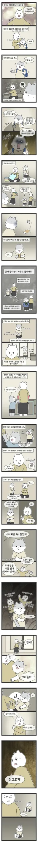 감정 기복이 심한 엄마를 둔 썰.manhwa