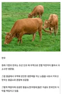 몽골 덕분에 먹고 있는 식재료