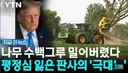 트럼프, 공공골프장 법원명령 무시 500그루 벌목강행