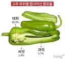 자지 의외의 상식