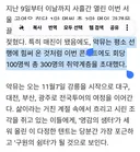 악뮤 취약계층을 매 회 100명씩 초대하고 시제석을 시각장애인분들께 초대표로 돌렸대