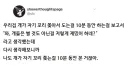 개들은 별 것도 아닌걸 저렇게 재밌어 하네?