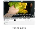 97만 유튜버 영상 카피 한 143만 유투버