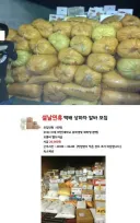 시급 2만원짜리 알바