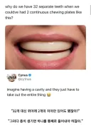 사람 이빨이 만화 이빨 같았다면?