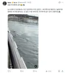 일본인도 보러온 북항 상어 근황