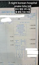 미국인이 한국서 뱀에 물려서 치료비를 올렸더니 댓글창 뒤집어짐ㅋㅋㅋㅋ