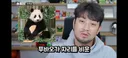 푸바오➡️늑구➡️부캉이 사태에 대한 침착맨의 생각