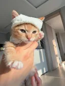 다이소 수면양말 잘라서 옷 입혔어