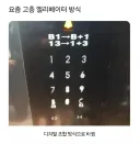 요즘 고층 엘레베이터 방식