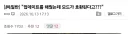 "타이난 실베스터 이 더럽고 끔찍한 새끼"