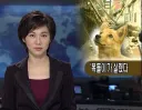 복돌이 이슈 정리