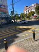 안산 본오동 주차 유행인가요?
