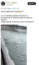 북항이 보러 부산에 온 일본인이 놀란거.gif