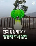 용인 24년 살면서 처음 안거
