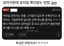 강아지한테 옷차림 확인받는방법