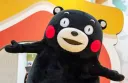 일본의 구마모토와 한국 김천의 공통점