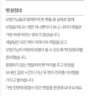 마비M) 유저들 펫뽑에 돈 안박아주니 또 이상한짓하네