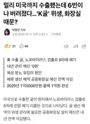 미국 수출 굴 전량 폐기