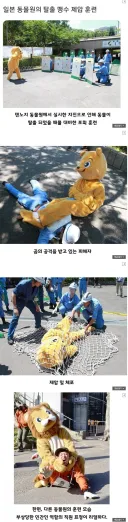 일본 동물원의 탈출 맹수 제압 훈련
