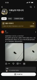 파충류 유튜버 게시판에 올라온 무서운 글 (벌레주의?)