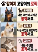 강아지 고양이의 로직