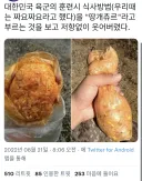 저항 없이 웃음 터져버린 육군 비하 표현.jpg