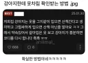강아지한테 옷차림 확인받는 방법.jpg