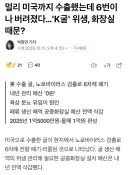 미국 수출 굴 전량 폐기